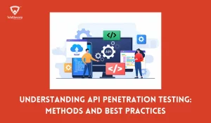 API Penetration Testing