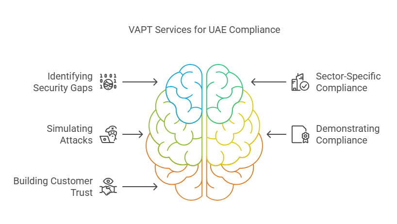 VAPT Services for UAE Compliance