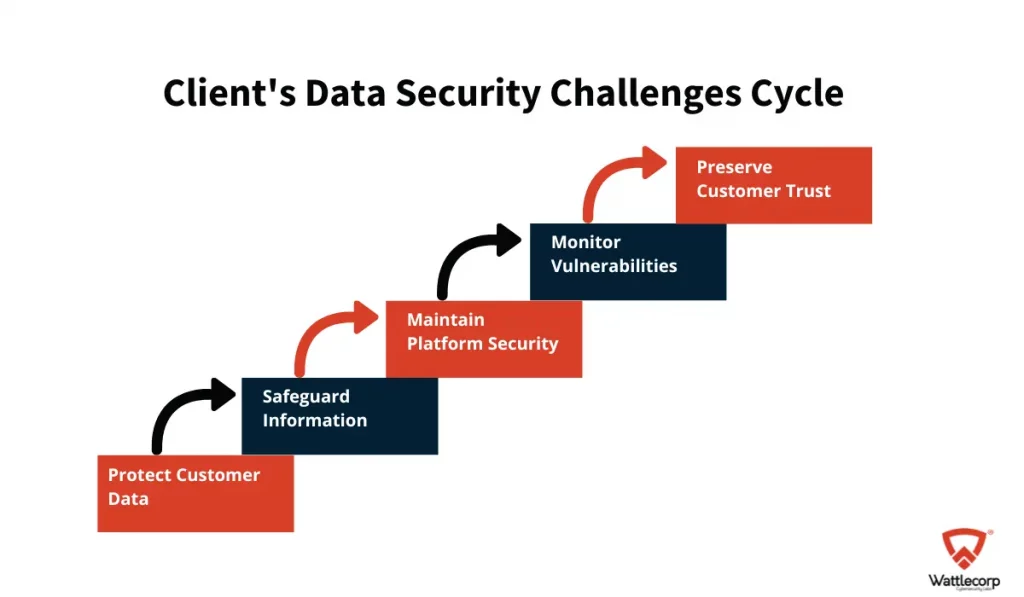 Challenges Faced by the Client
