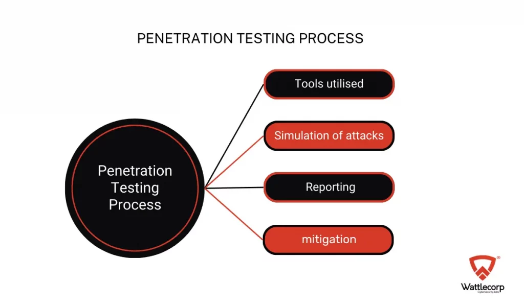 Exploitation and Reporting 