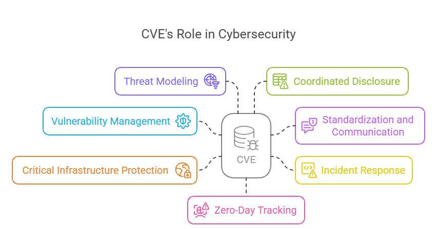 CVE's Role in Cybersecurity