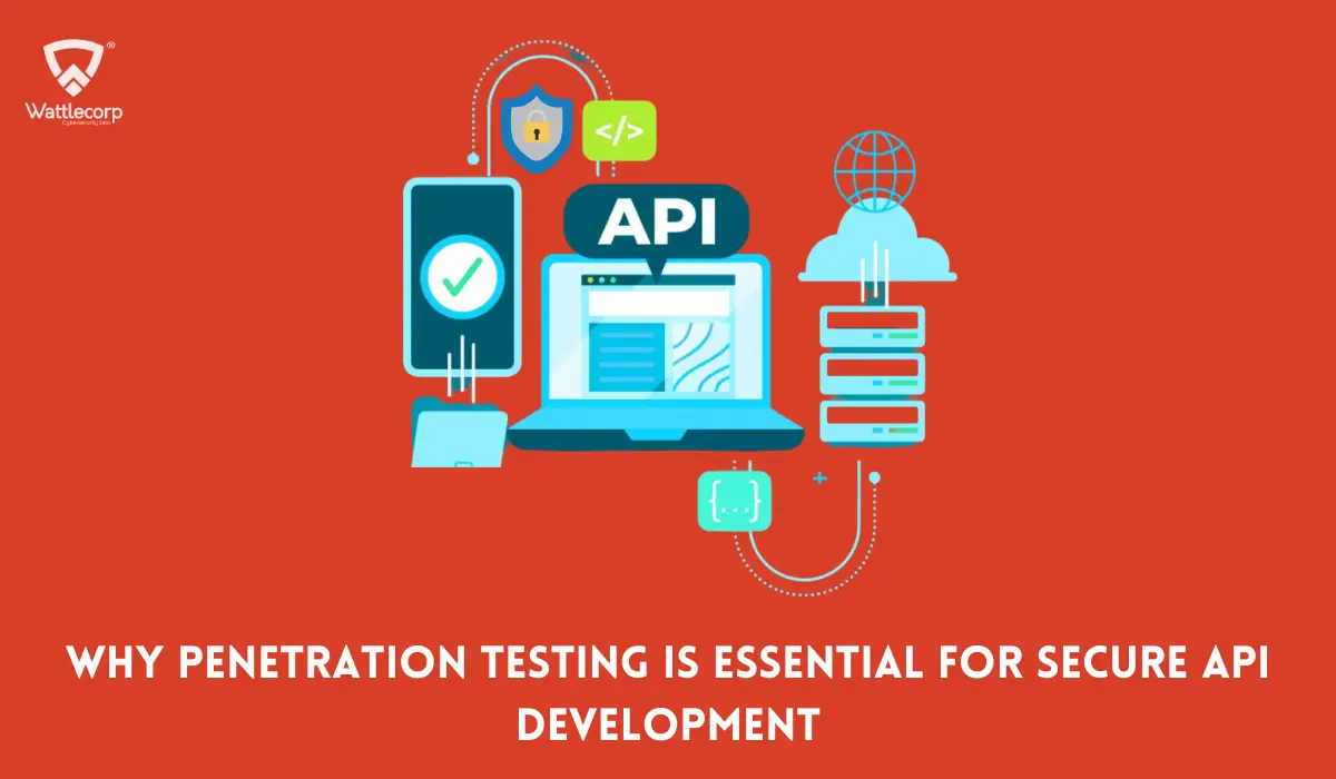 Why Penetration Testing is Essential for Secure API Development