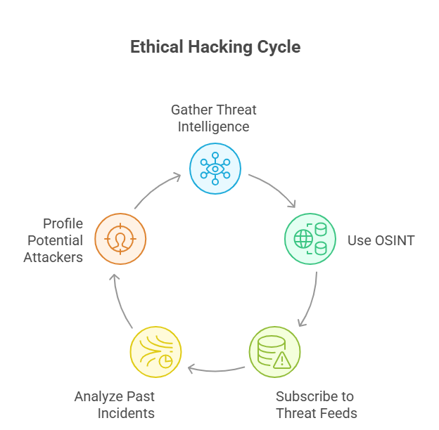 Ethical Hacking Cycle