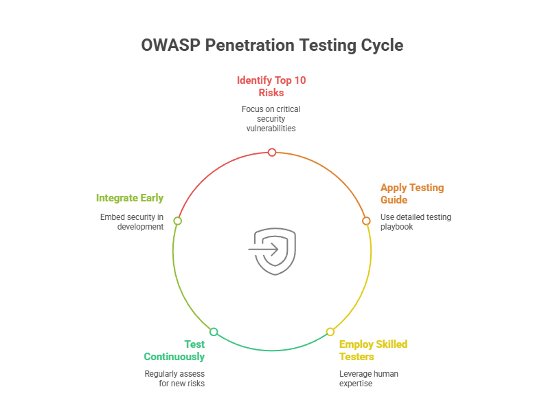 OWASP Penetration Testing Cycle