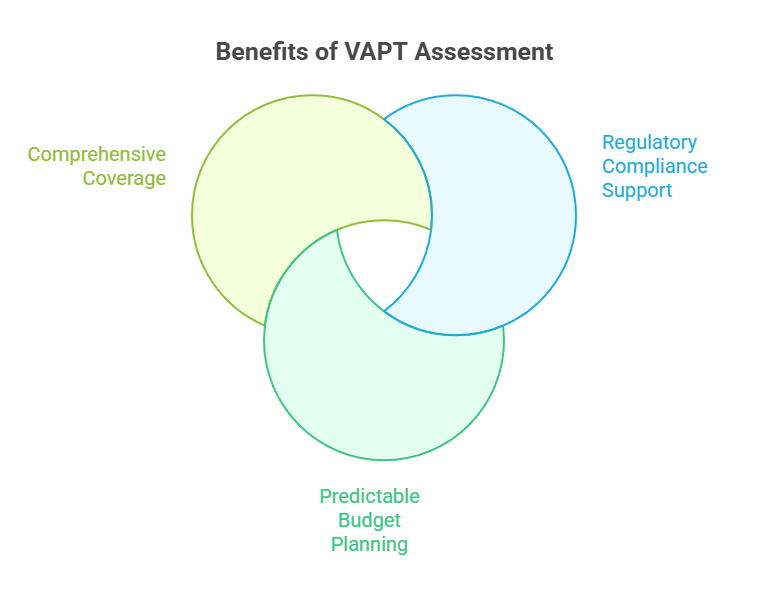 Benefits of VAPT Assessment
