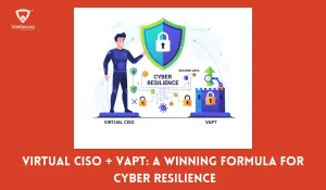 Virtual CISO VAPT security
