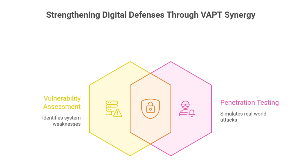 Strengthening Digital Defenses Through VAPT Synergy